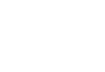 FLAMINGO RECORDS/フラミンゴ・レコーズ